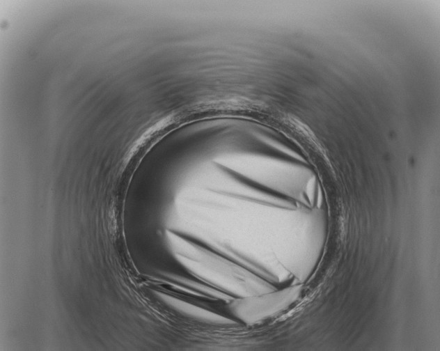 X0000086291218200704271754