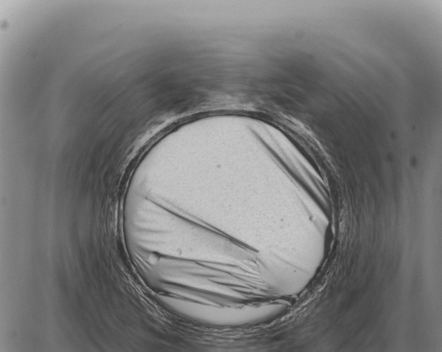 X0000086291220200704271754