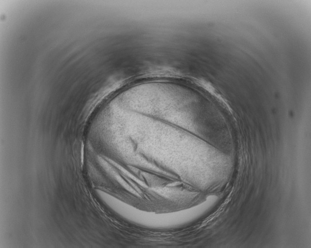 X0000086291221200704271754