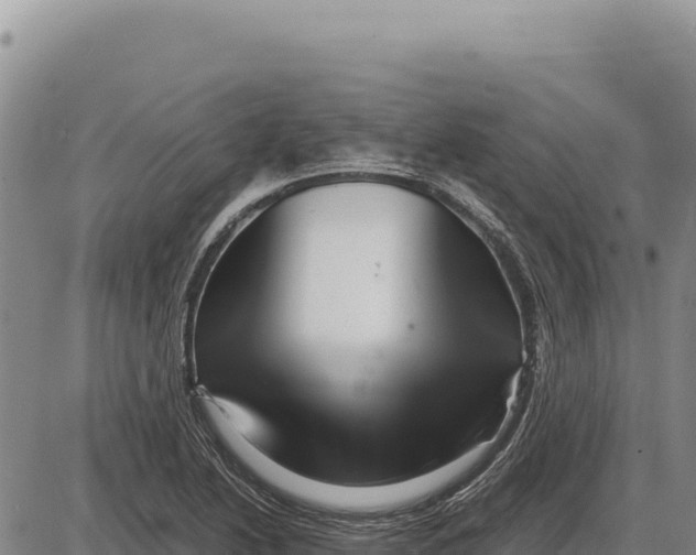 X0000086291222200704271754