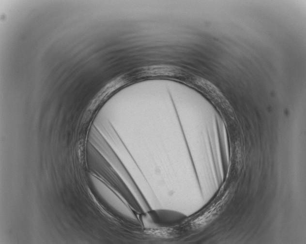 X0000086291225200704271754