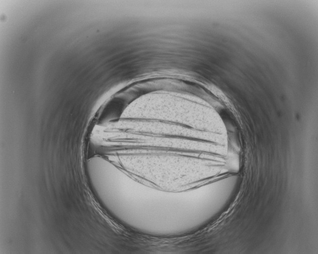 X0000086291230200704271754