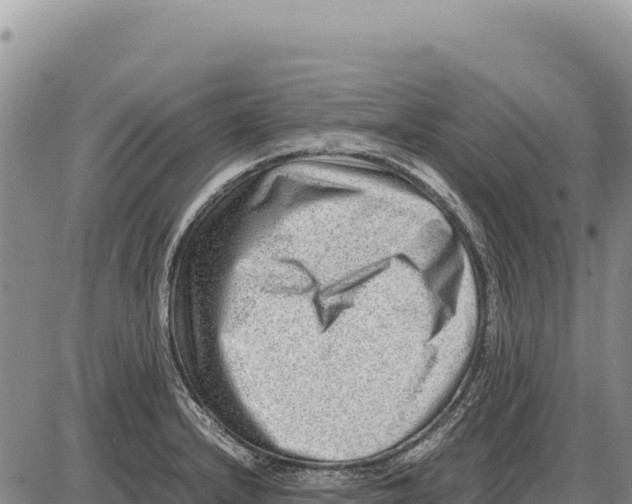 X0000086291232200704271754