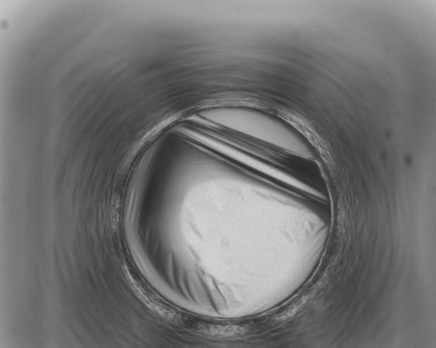 X0000086291233200704271754