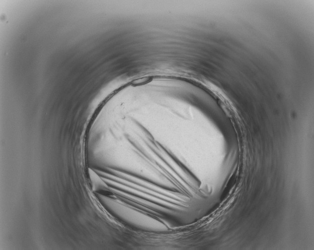 X0000086291238200704271754