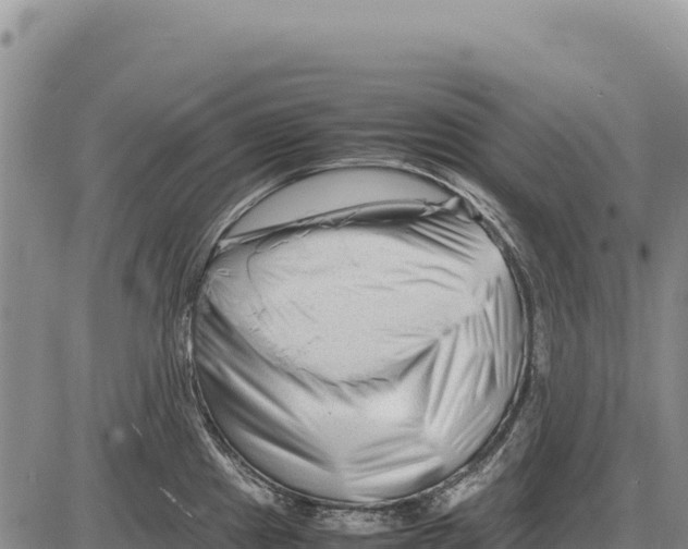 X0000086291241200704271754
