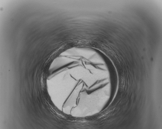 X0000086291250200704271753