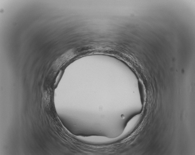 X0000086291257200704271753