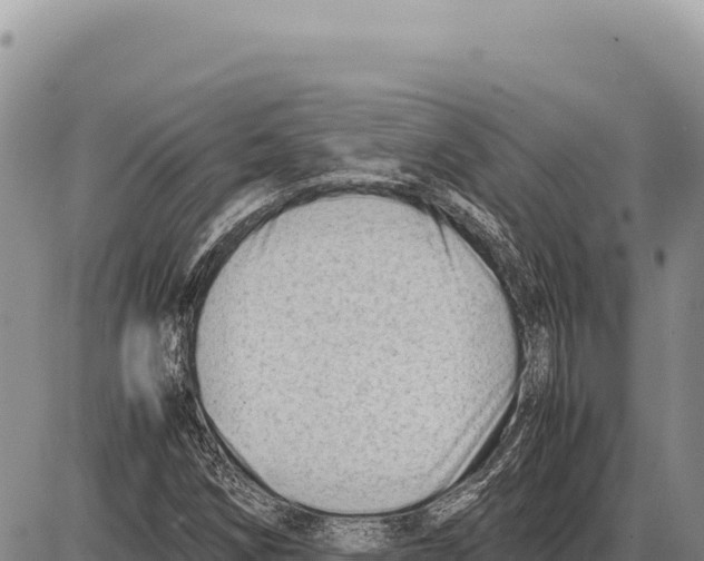 X0000086291258200704271753