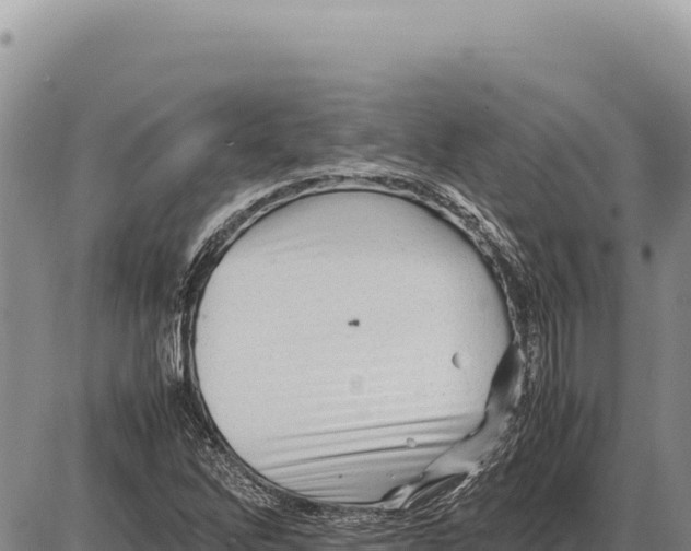 X0000086291262200704271753