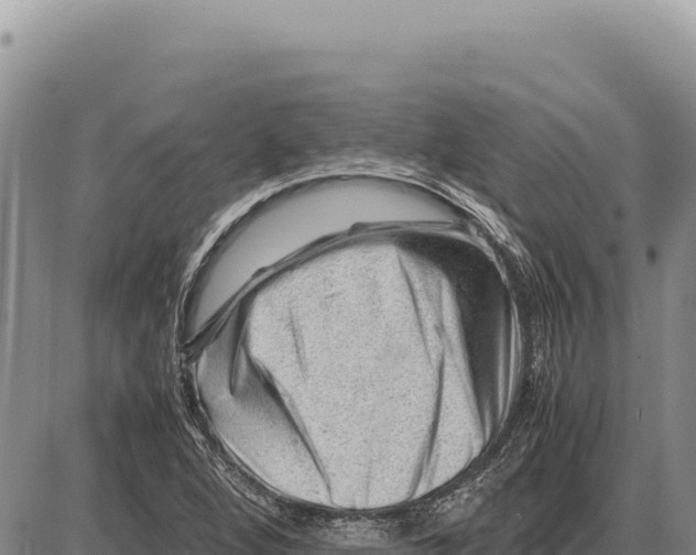 X0000086291264200704271753