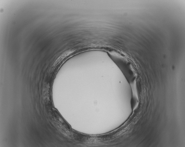 X0000086291265200704271753