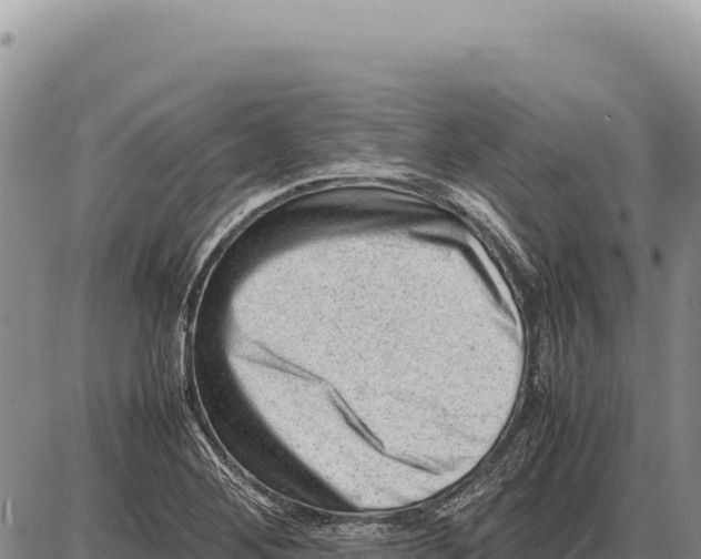 X0000086291268200704271753