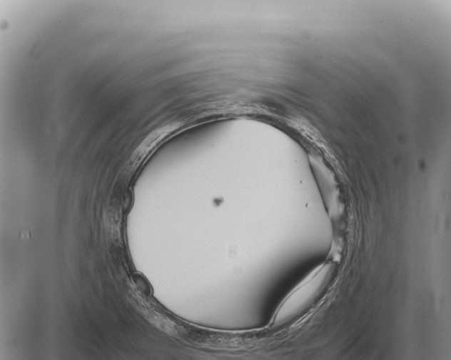 X0000086291273200704271753