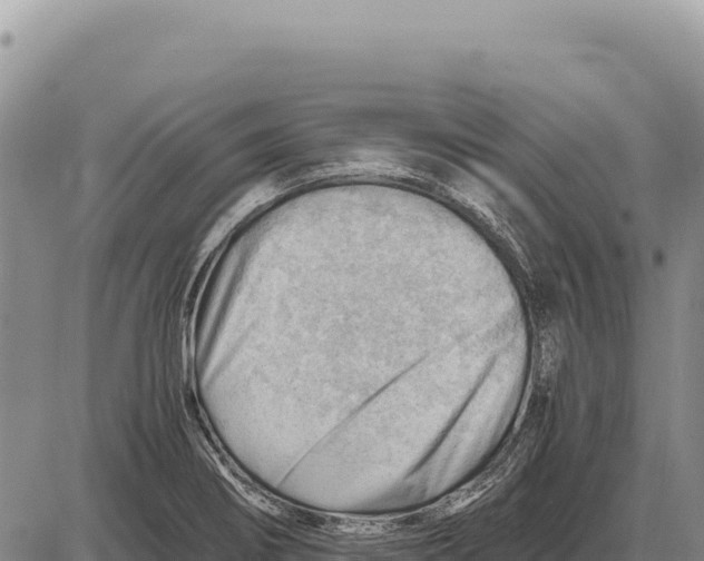 X0000086291274200704271753