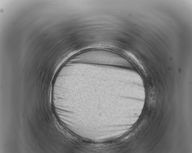 X0000086291276200704271753