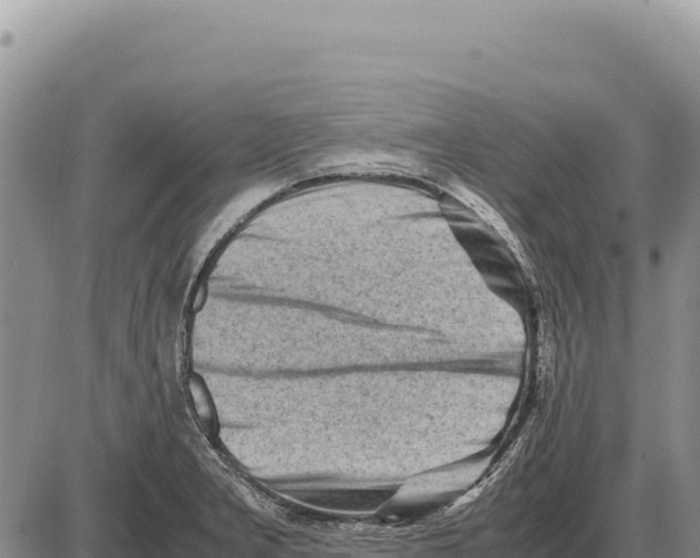 X0000086291277200704271753