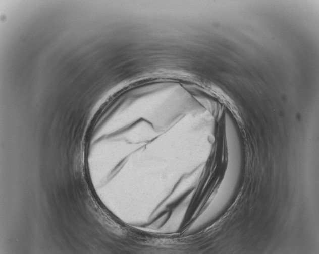 X0000086291280200704271753