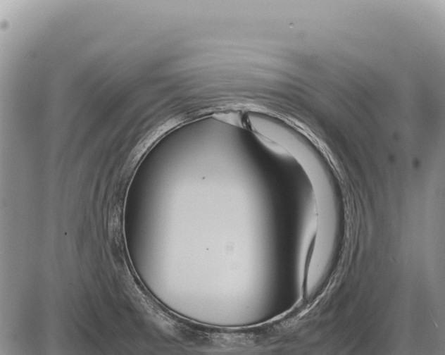 X0000086291281200704271753