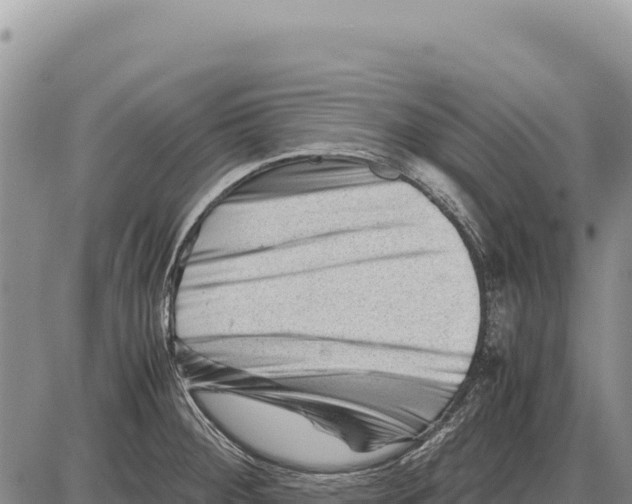 X0000086291284200704271753