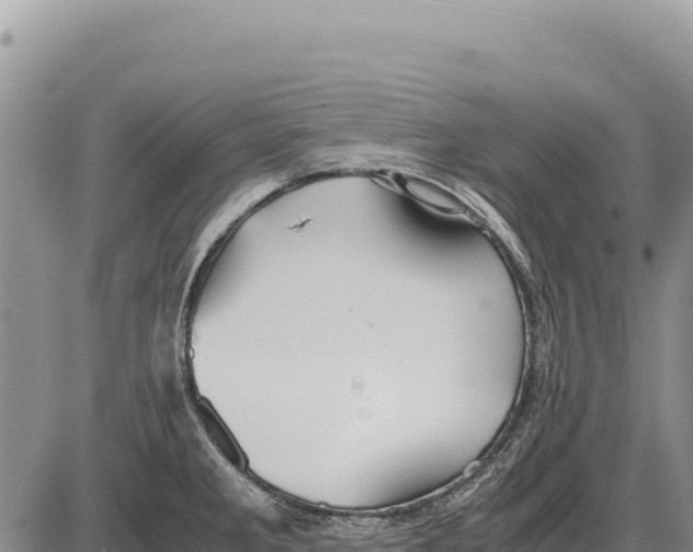 X0000086291285200704271753