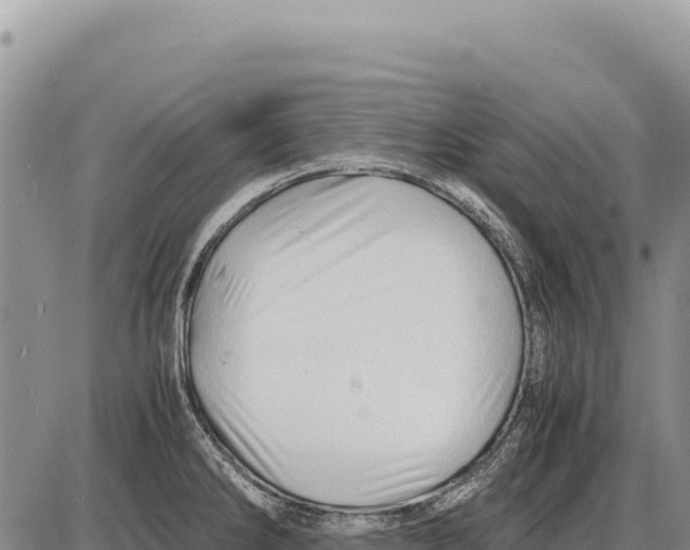X0000086291286200704271753