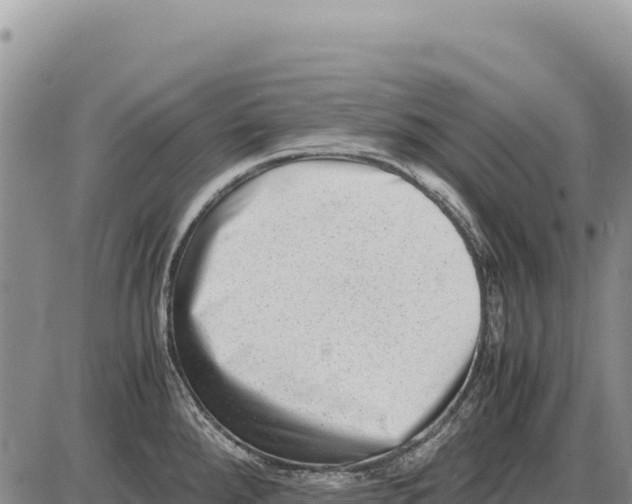 X0000086291288200704271753