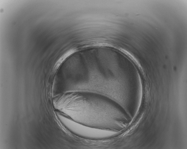 X0000086291289200704271753