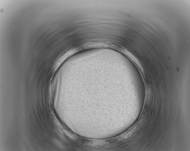 X0000086291290200704271753