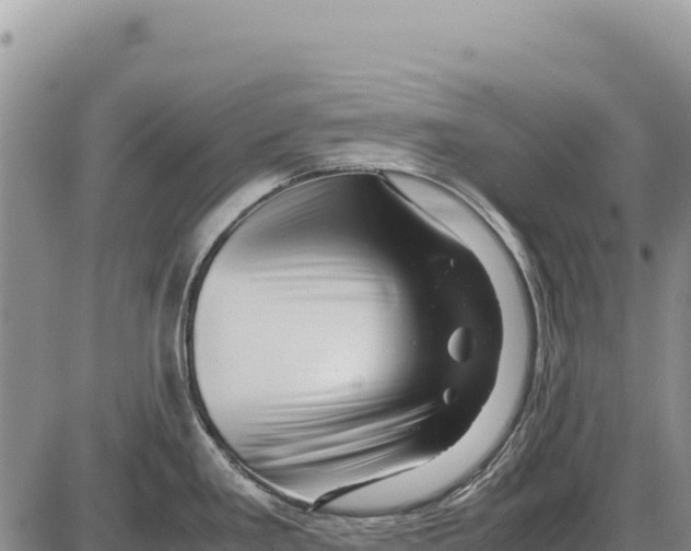X0000086291293200704271753