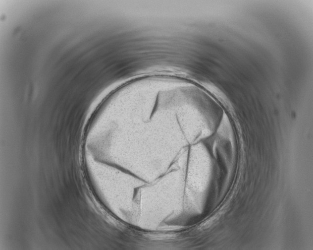X0000086291296200704271753