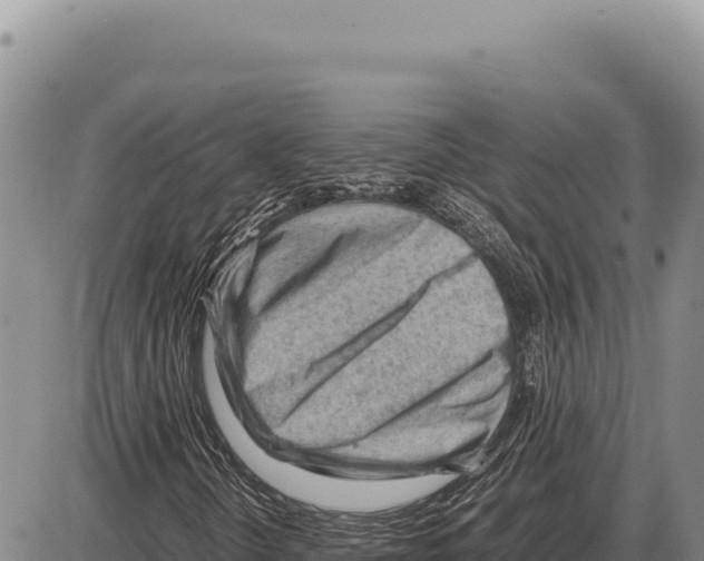 X0000086291298200704271752