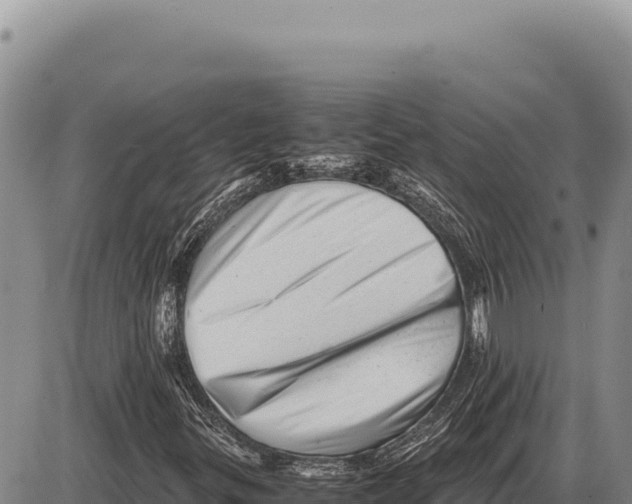 X0000086291299200704271752