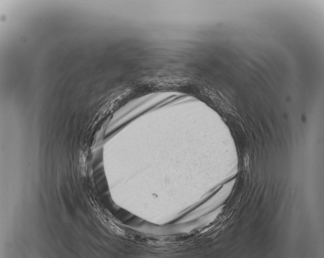 X0000086291300200704271752