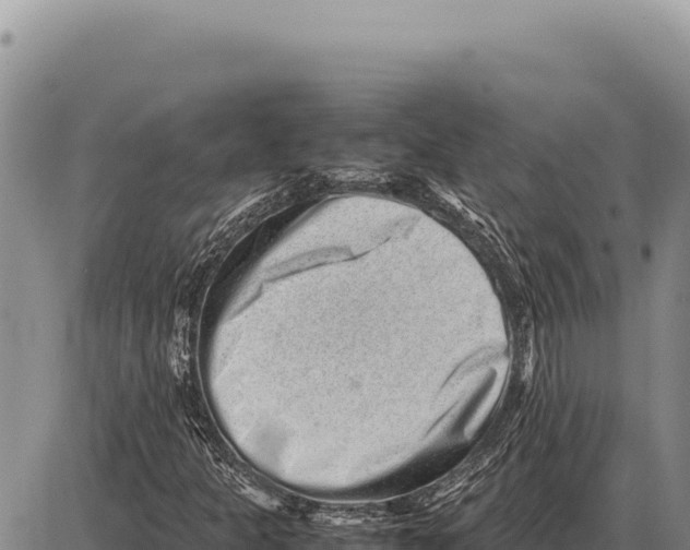 X0000086291301200704271752