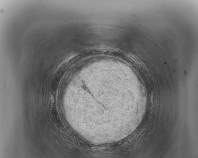 X0000086291302200704271752