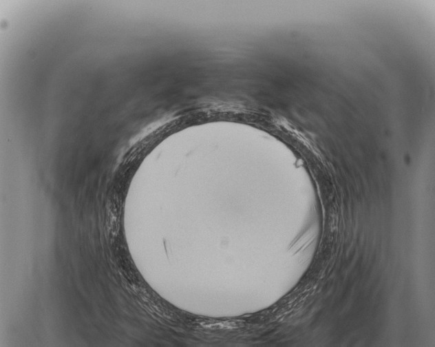 X0000086291303200704271752