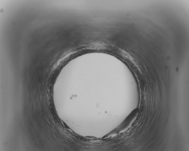 X0000086291304200704271752