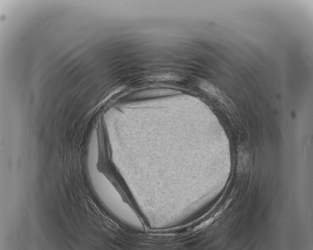 X0000086291305200704271752