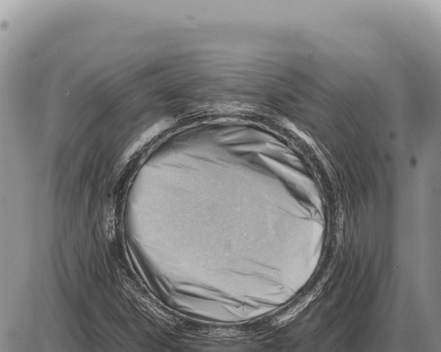 X0000086291306200704271752