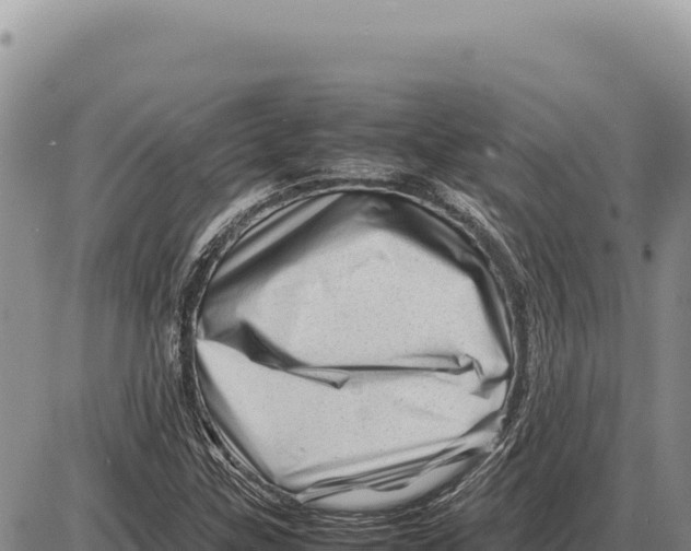 X0000086291307200704271752