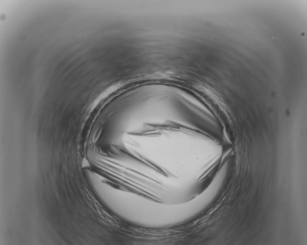 X0000086291308200704271752