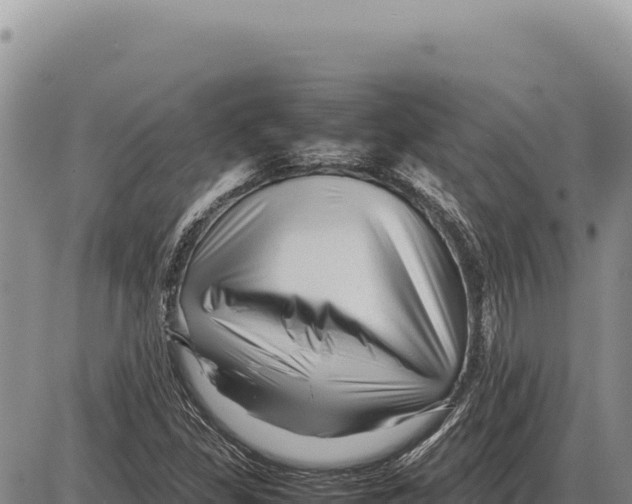 X0000086291309200704271752