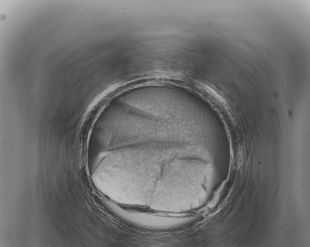 X0000086291310200704271752