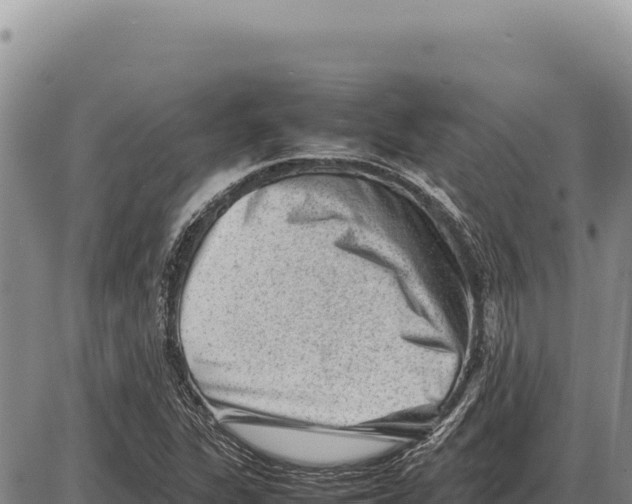 X0000086291311200704271752