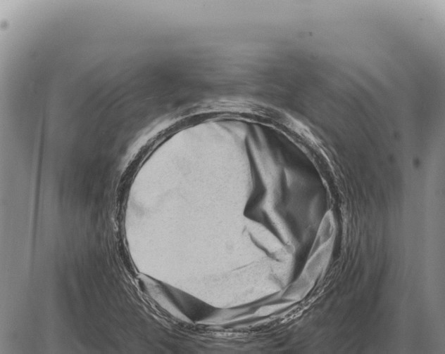 X0000086291312200704271752