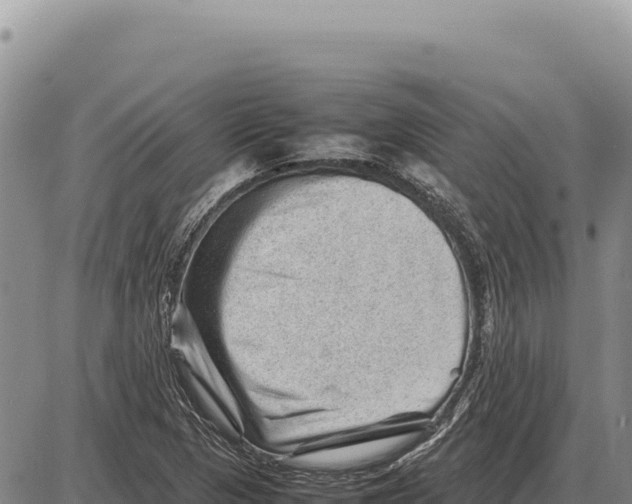 X0000086291313200704271752