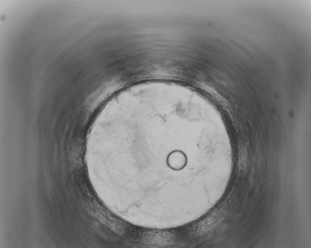 X0000086291314200704271752