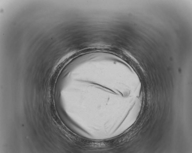 X0000086291315200704271752