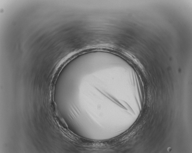 X0000086291316200704271752